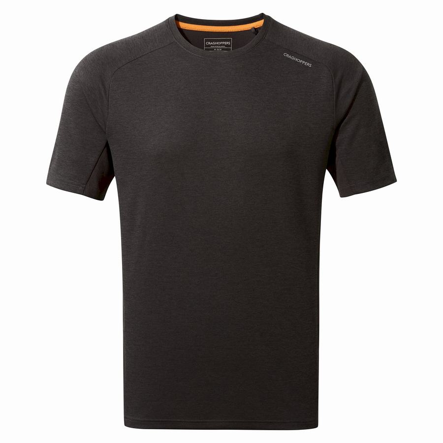 Black Craghoppers Dynamic Pro Short Sleeved Men's T-Shirts | OME179QM