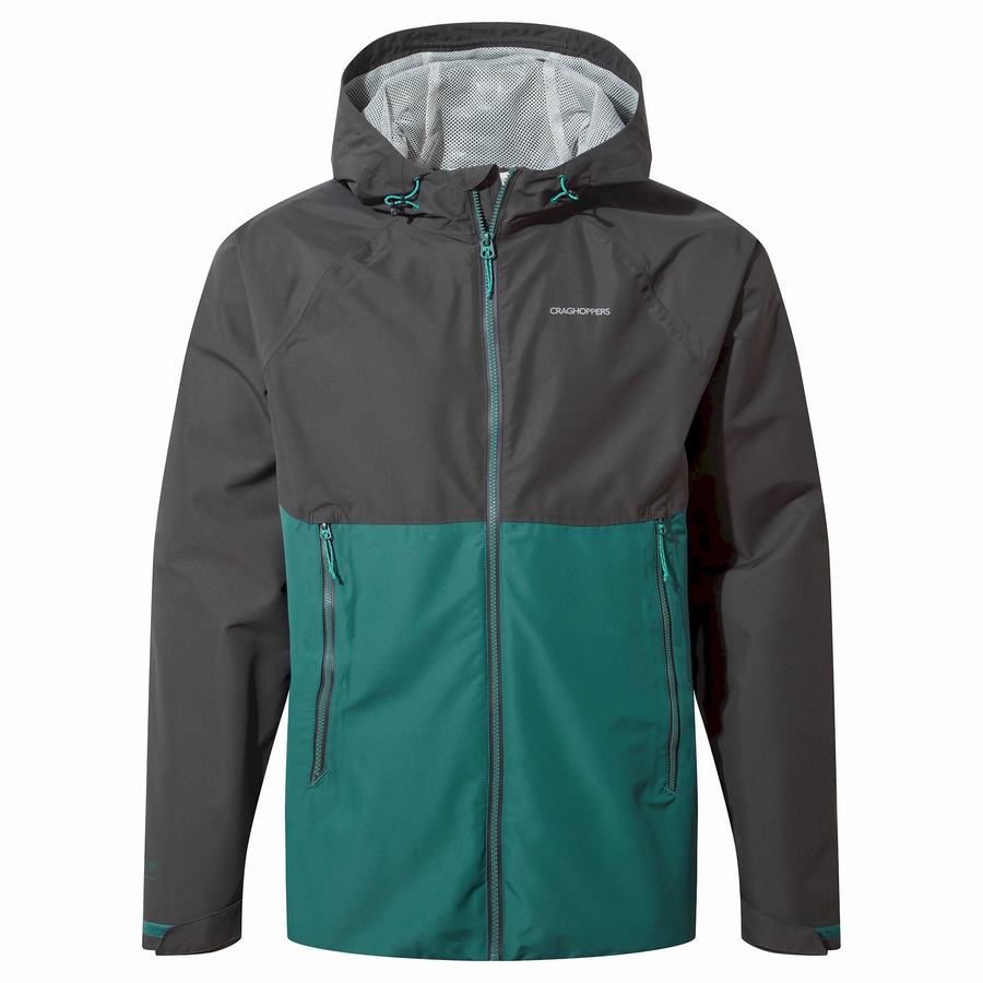 Black Green Craghoppers Sebastian Men's Jackets | XPQ5034MB