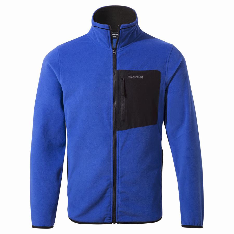 Blue Craghoppers Corey Plus Men's Sweaters | DLU137VR