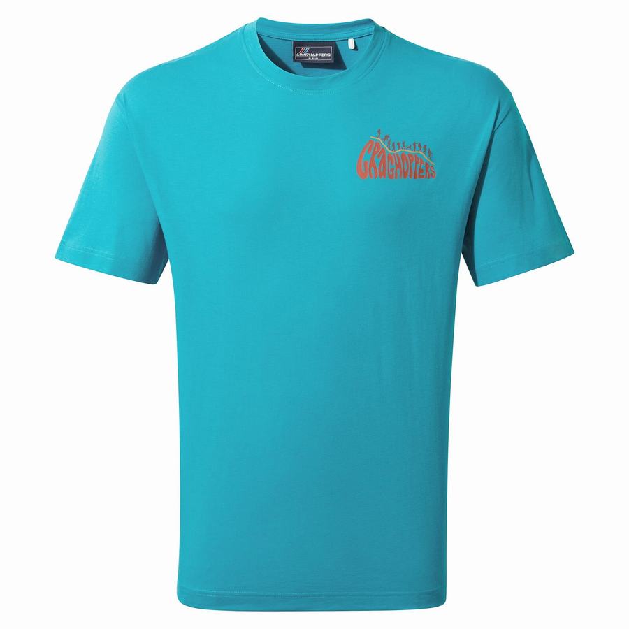 Blue Craghoppers Crosby Short Sleeved Men's T-Shirts | PTQ850EE