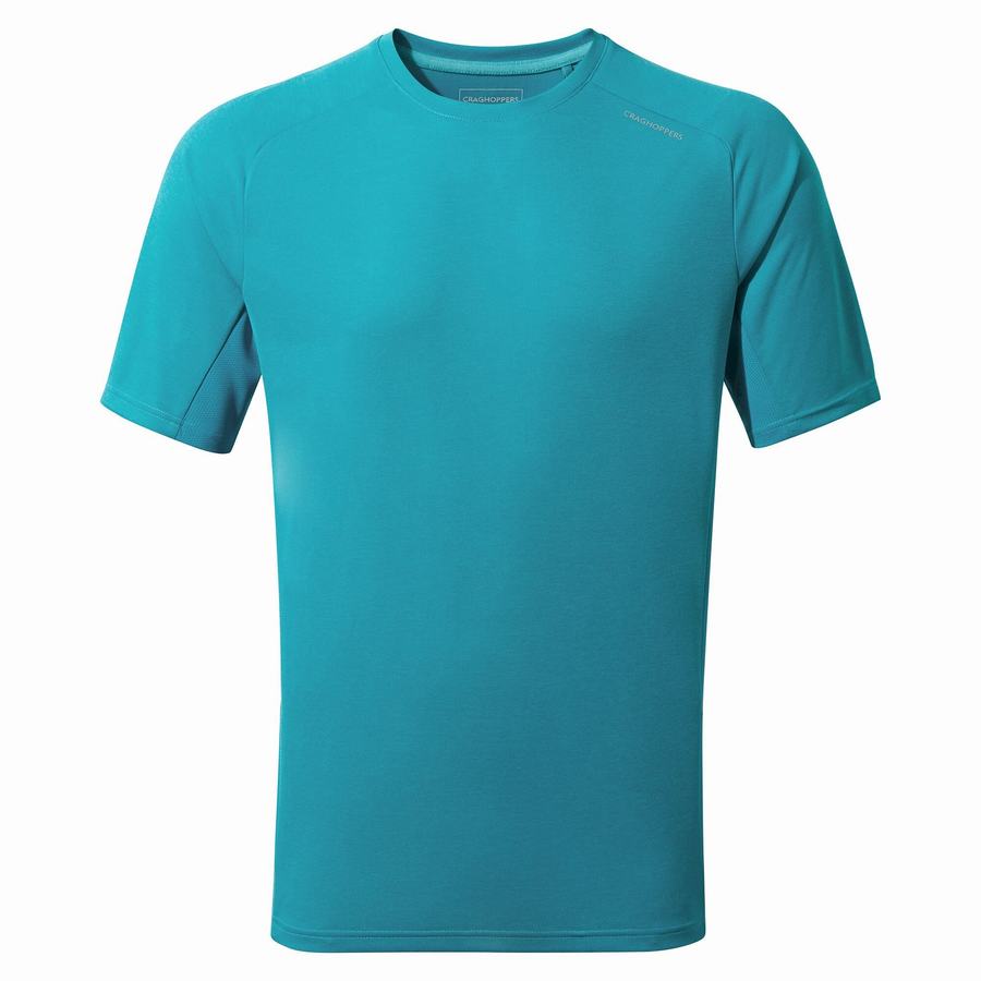 Blue Craghoppers Dynamic Pro Short Sleeved Men's T-Shirts | UPK9524LY