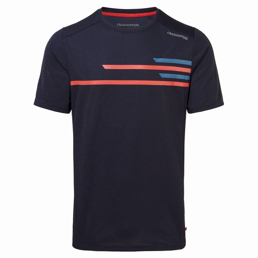 Blue Navy Craghoppers NosiLife Pro Active Short Sleeved Men's T-Shirts | FWQ2950IL