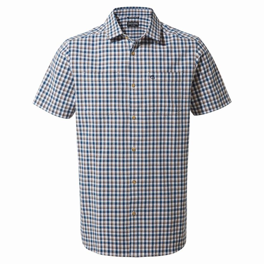 Blue Navy Craghoppers Nour Short Sleeved Check Men's Shirts | AOD9131ES