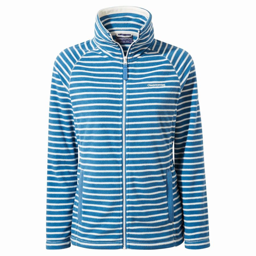 Blue Stripes Craghoppers Ella Women's Sweaters | MVD1696VA