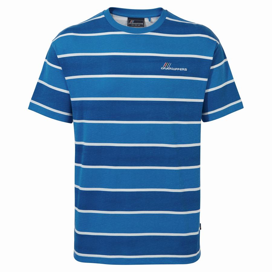 Blue Stripes Craghoppers Ventura Short Sleeved Men's T-Shirts | XRX76MY