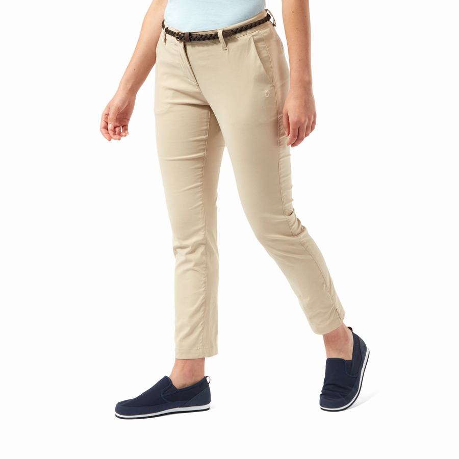 Brown Craghoppers NosiLife Briar Women's Trousers | RAM444RG