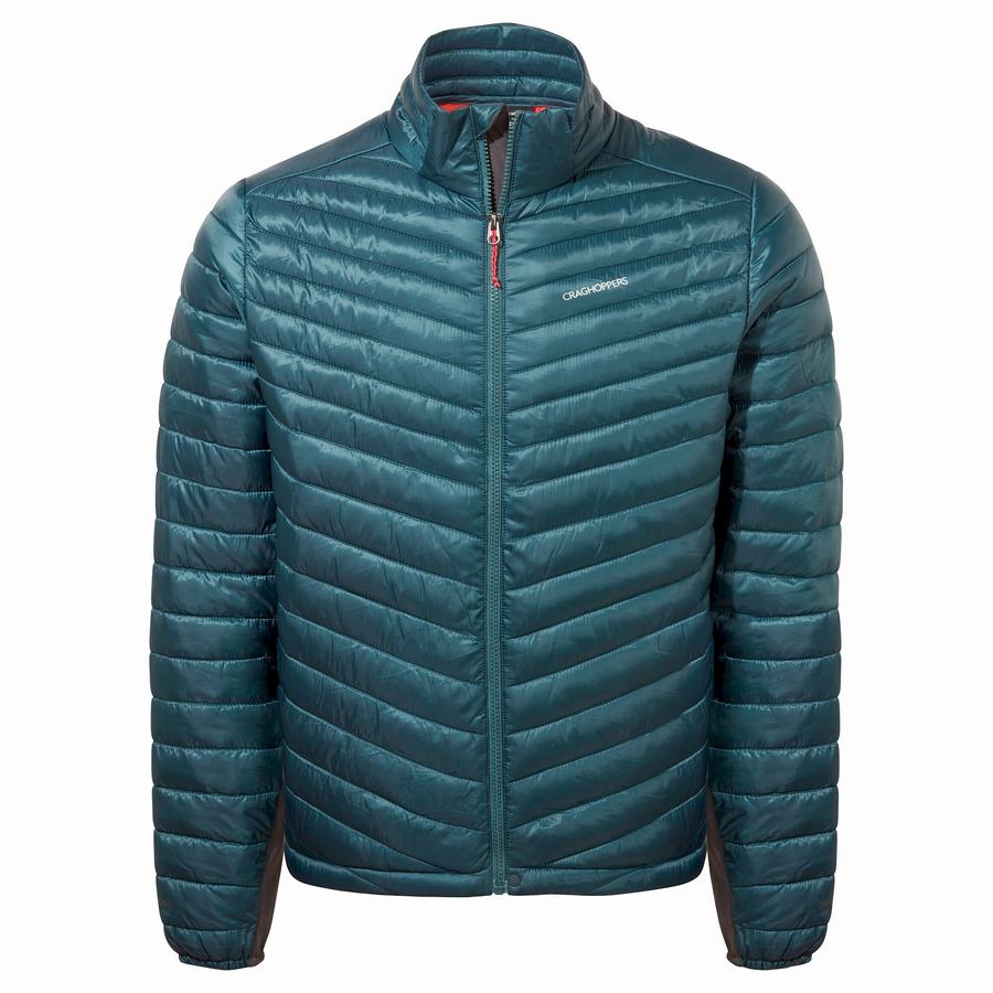 Dark Blue Craghoppers ExpoLite Insulated Men's Jackets | XIL3166XE