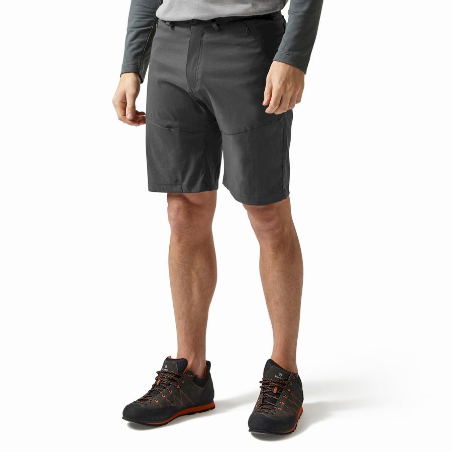 Dark Grey Craghoppers Kiwi Pro Men's Shorts | ECG974EY