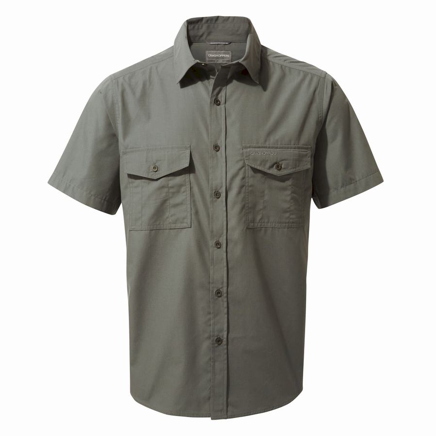 Dark Grey Craghoppers Kiwi Short Sleeved Men's Shirts | LEK572RW