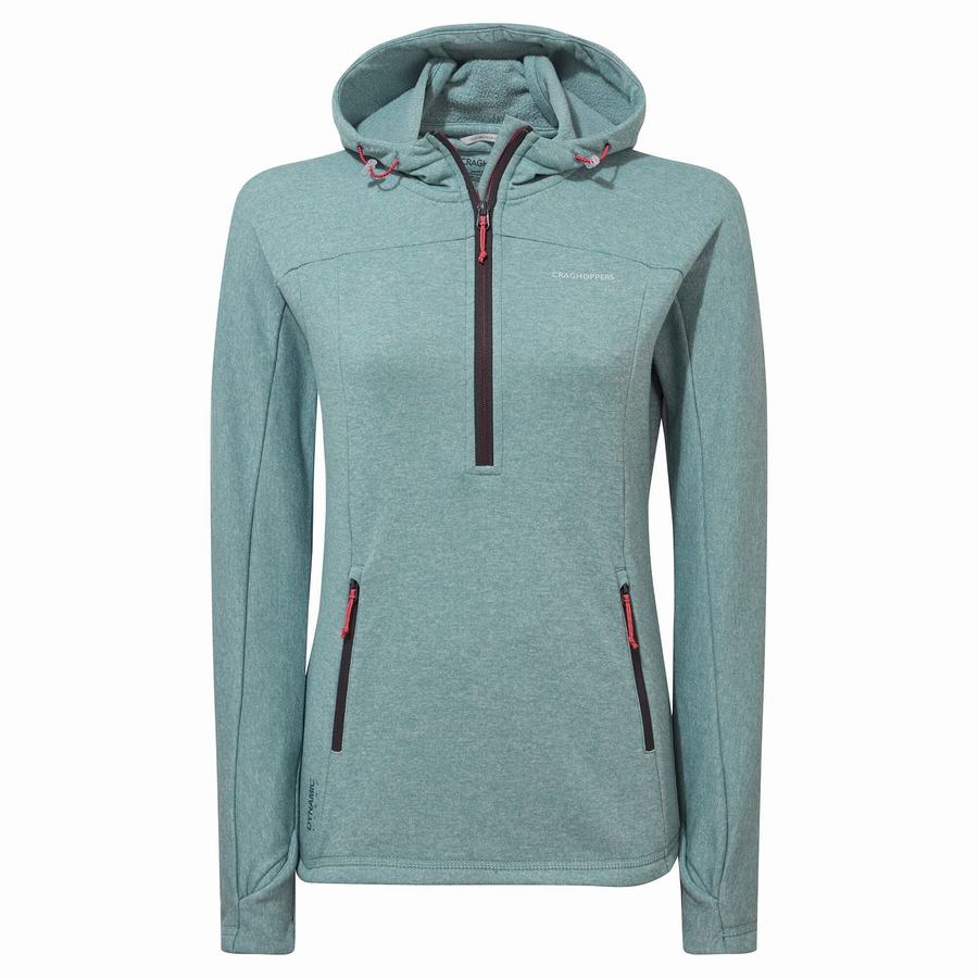 Green Grey Craghoppers Dynamic Hooded Half Zip Women's T-Shirts | REM10070FU