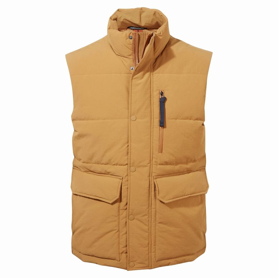 Grey Brown Craghoppers Dunbeath Vest Men's Gilets | GNI8910FP