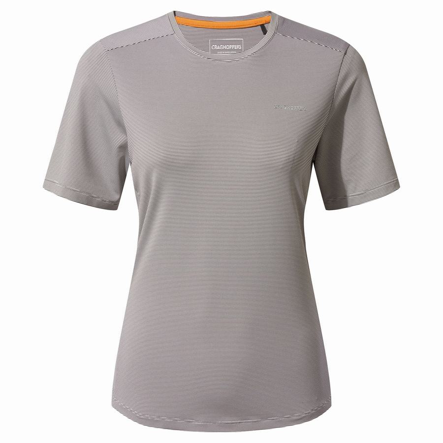 Grey Craghoppers Aliso Short Sleeved Women's T-Shirts | OED7495LM