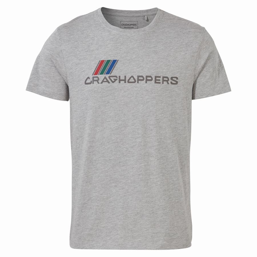 Grey Craghoppers Lugo Short Sleeved Men's T-Shirts | LEM8654HE