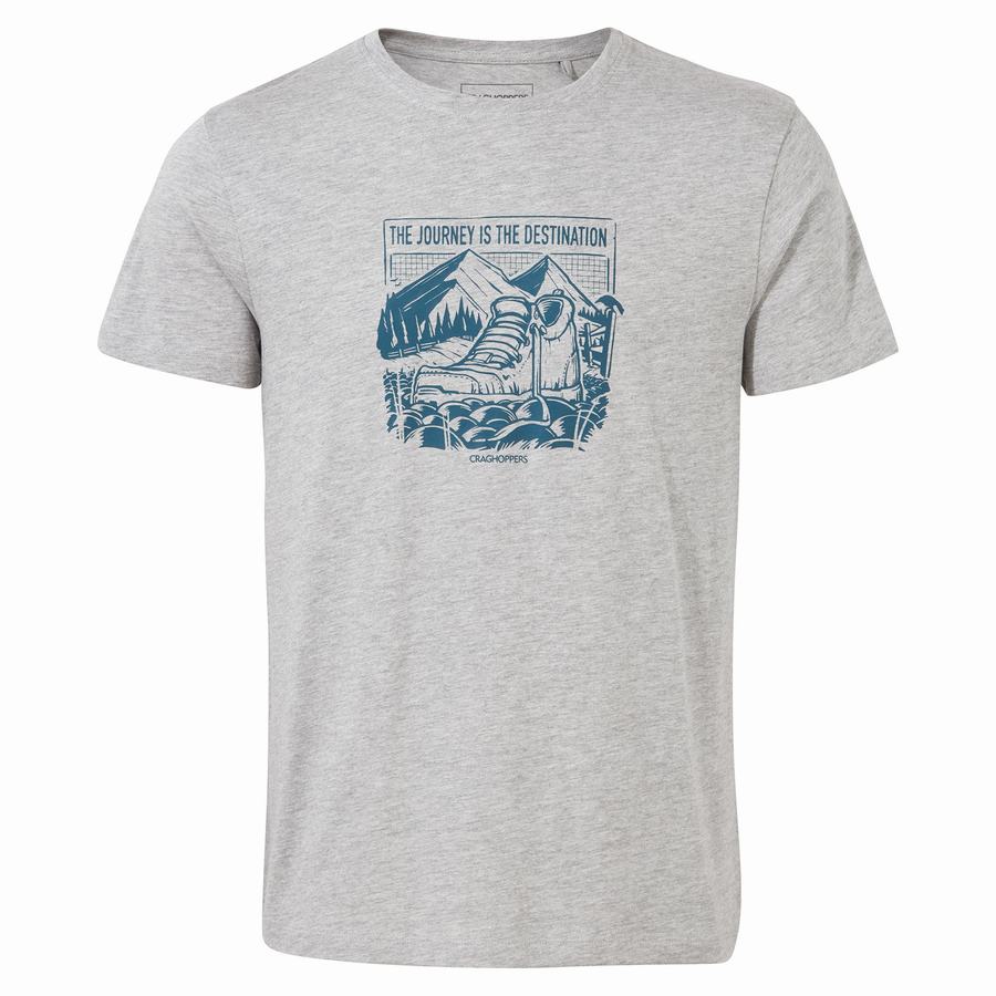 Grey Craghoppers Lugo Short Sleeved Men's T-Shirts | LYE7031OQ