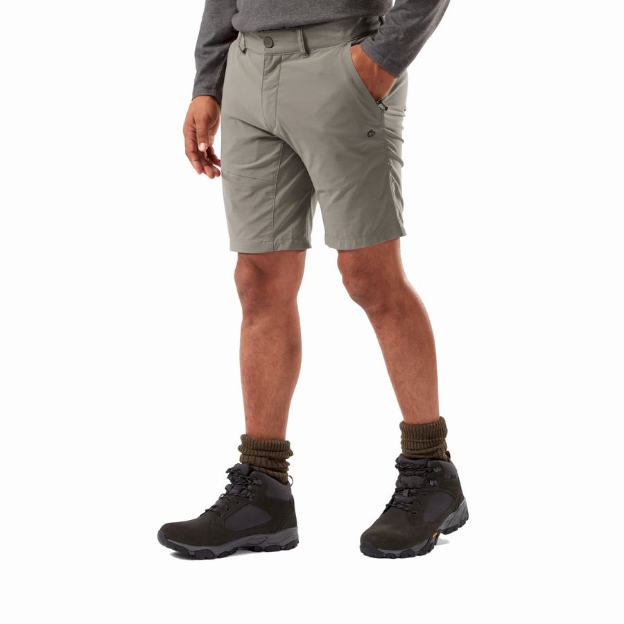 Grey Craghoppers NosiLife Pro Active Men's Shorts | XSW3313ZJ