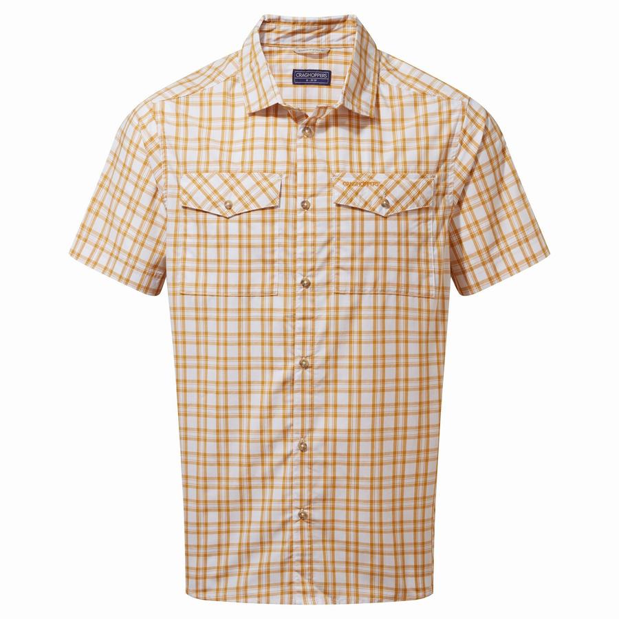 Multicolor Craghoppers Murray Short Sleeved Men's Shirts | YFF3893QZ