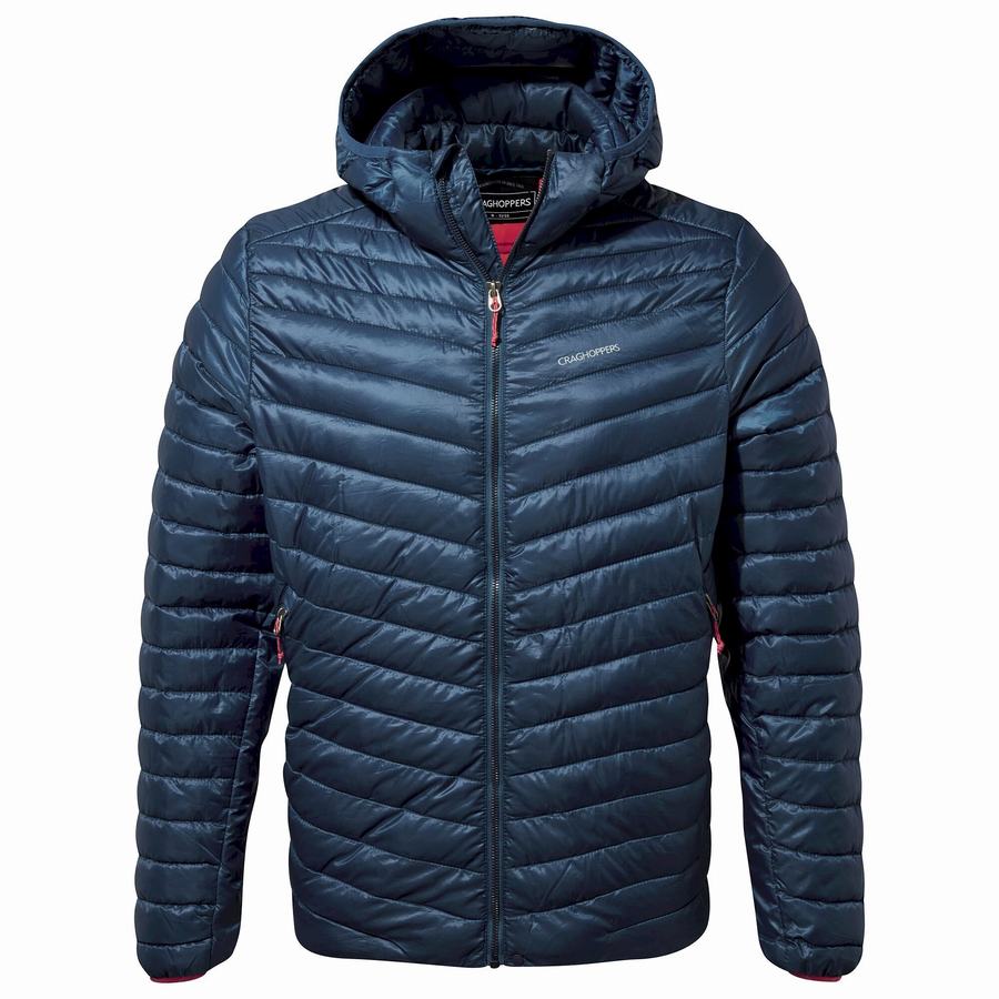 Navy Blue Craghoppers Insulated ExpoLite Hooded Men's Jackets | RTM3762XZ