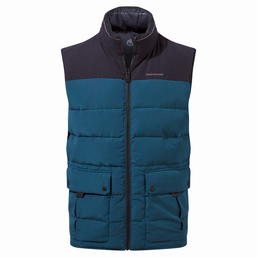 Navy Blue Craghoppers Trillick Downlike Men's Gilets | BSP3250VE