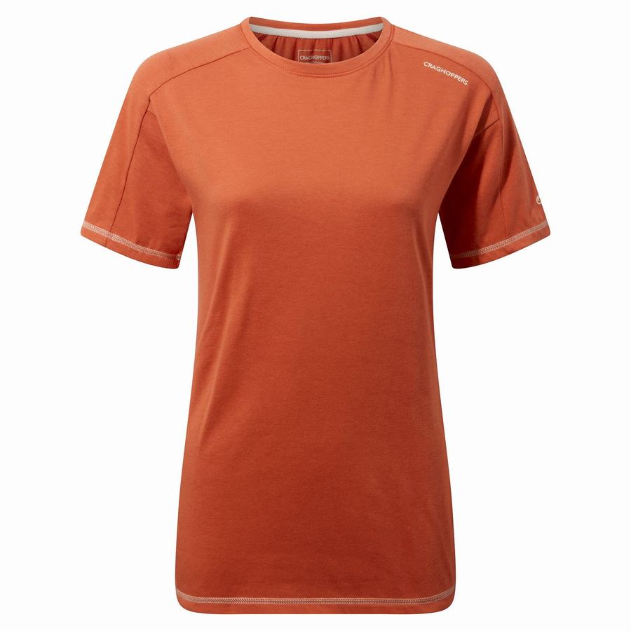 Orange Craghoppers Dynamic Short Sleeved Warm Ginger Women's T-Shirts | JRE9611MA