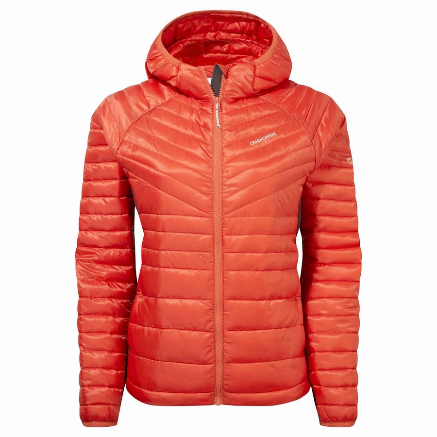 Orange Craghoppers ExpoLite Insulated Hooded Women's Jackets | BPQ7458SQ