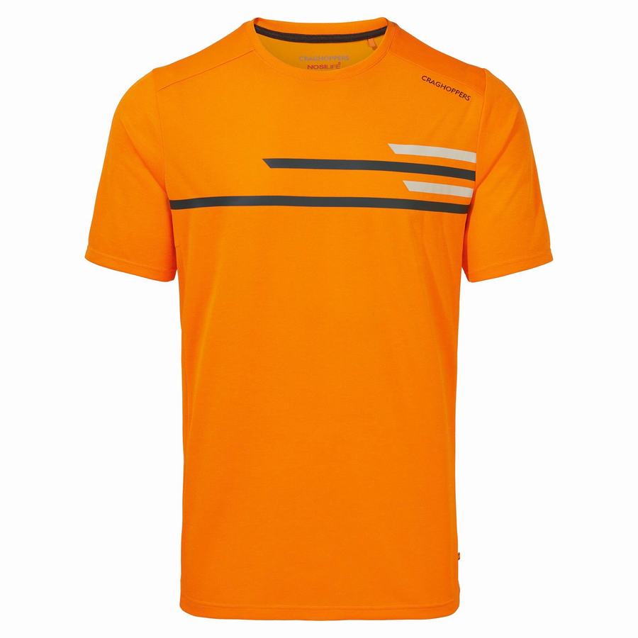 Orange Craghoppers NosiLife Pro Active Short Sleeved Men's T-Shirts | SKP5691TZ