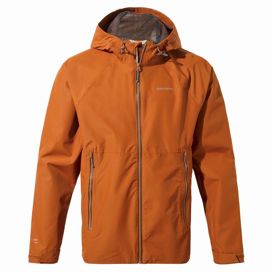 Orange Craghoppers Sebastian Men's Jackets | RBE2379WU