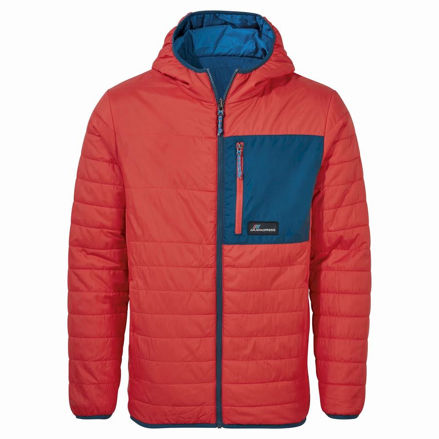 Orange Red Craghoppers Cameo CompressLite Hooded Men's Jackets | CMG6073EB