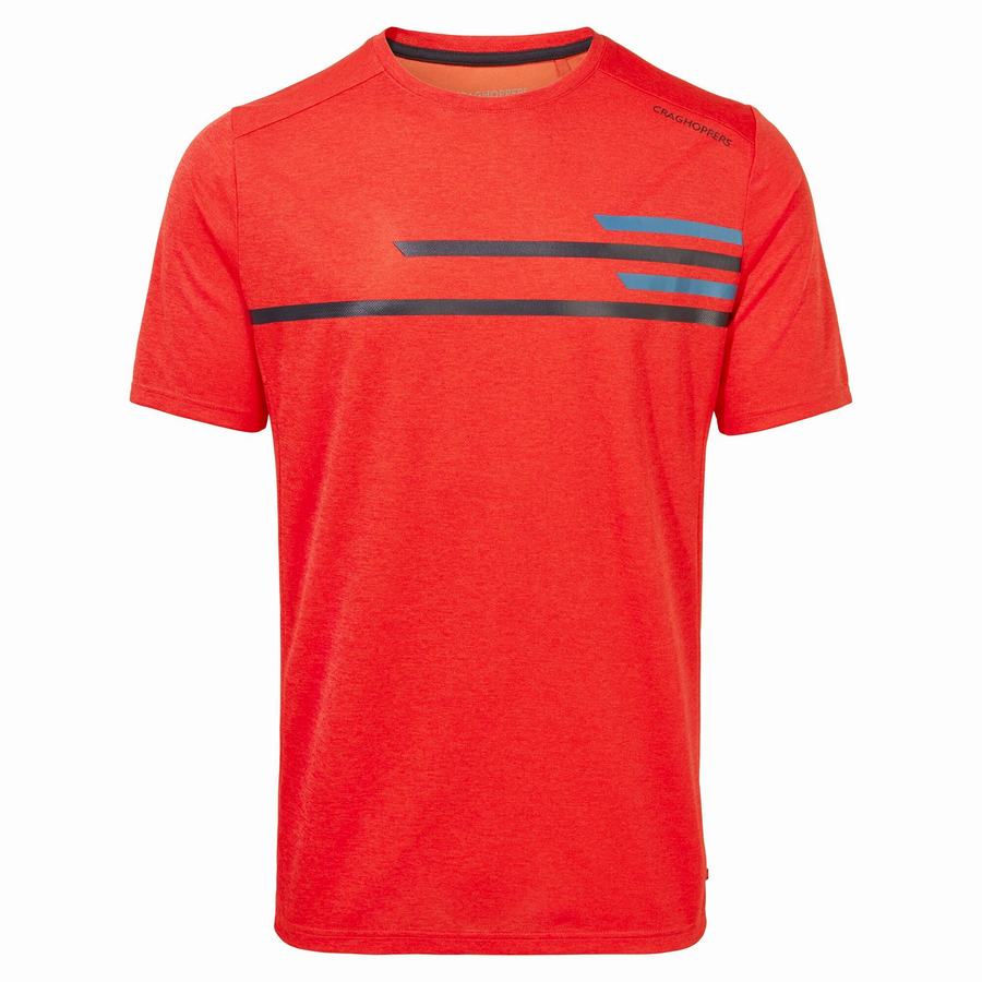 Orange Red Craghoppers NosiLife Pro Active Short Sleeved Men's T-Shirts | BGH8533NC