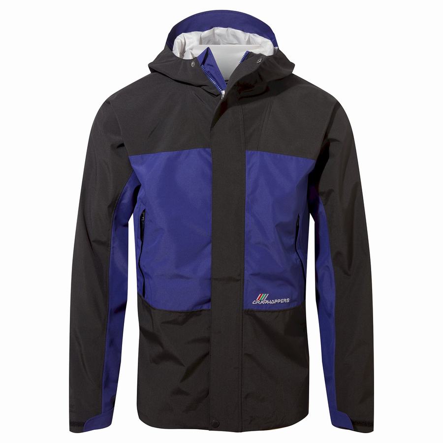 Purple Blue Black Craghoppers Dustin Insulated Men's Jackets | LMT9198EF