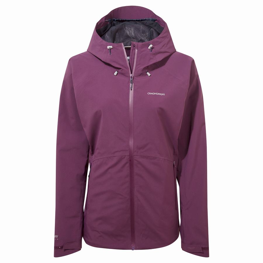 Purple Craghoppers Anza Women's Jackets | FPA9557AR