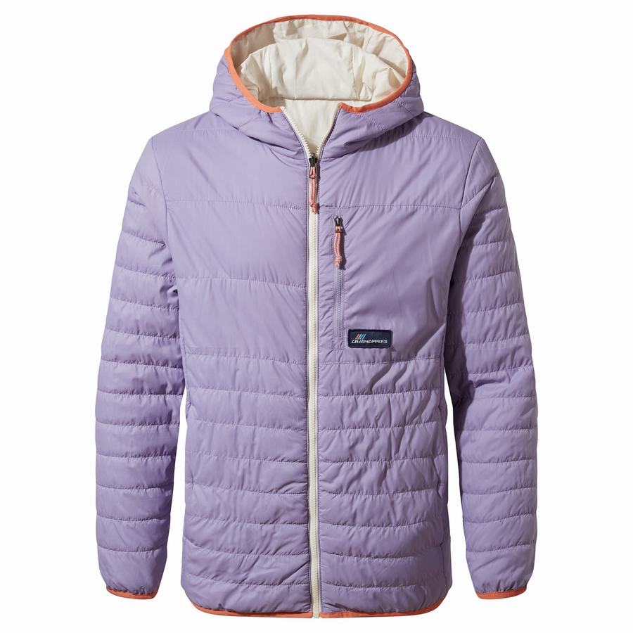 Purple Craghoppers Cameo CompressLite Hooded Men's Jackets | BFS7731GW