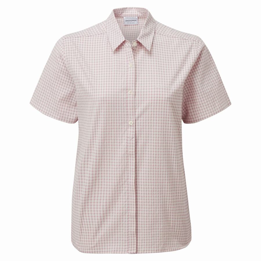 Purple Craghoppers Nasima Short Sleeved Women's Shirts | IAQ764OC