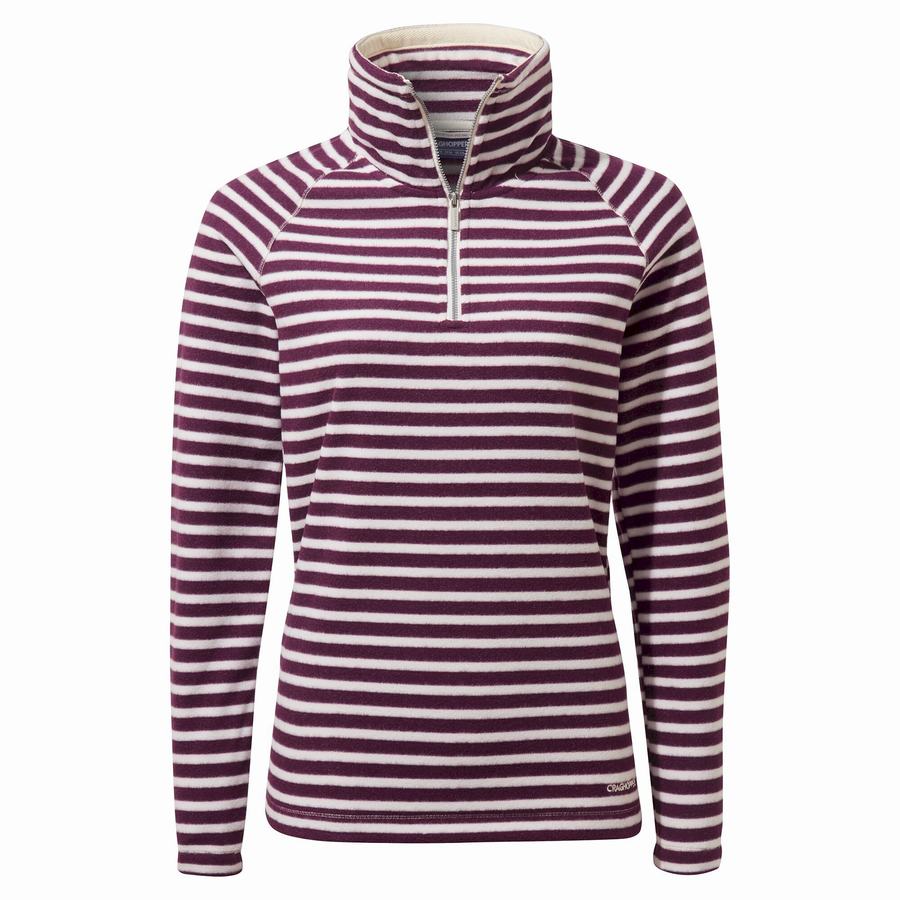 Purple Stripes Craghoppers Natalia Half Zip Women's Sweaters | CRP7031GQ