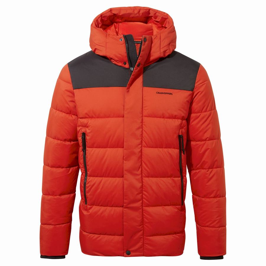 Red Black Craghoppers Sutherland Insulated Hooded Men's Jackets | NSW452PE