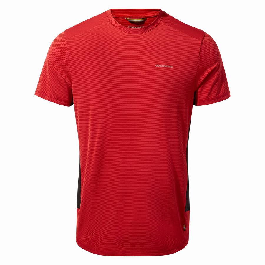 Red Craghoppers Atmos Short Sleeved Men's T-Shirts | QZR2754GW