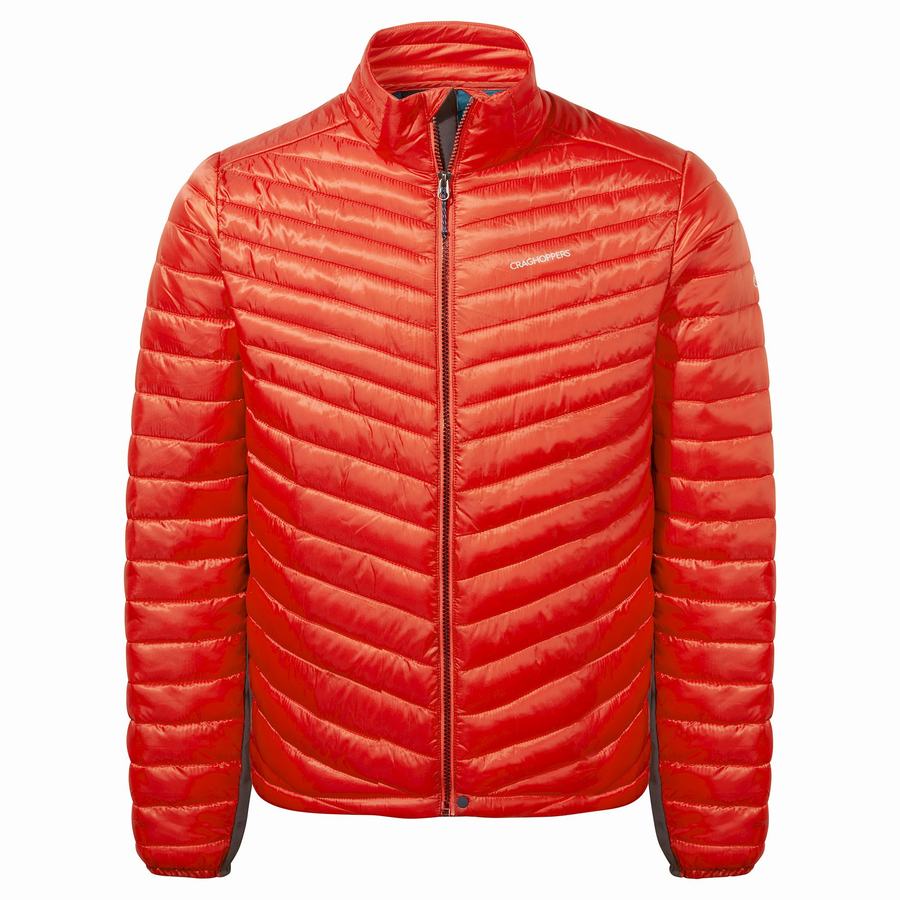 Red Craghoppers ExpoLite Insulated Men's Jackets | MPW4154KF