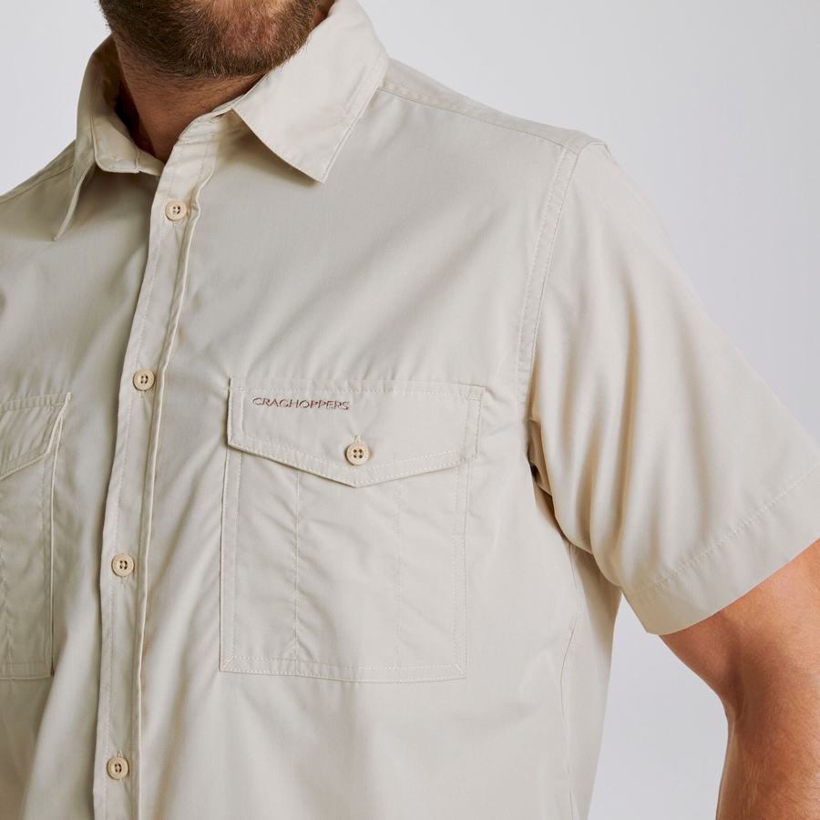 Beige Craghoppers Kiwi Short Sleeved Men's Shirts | CXJ3963NL