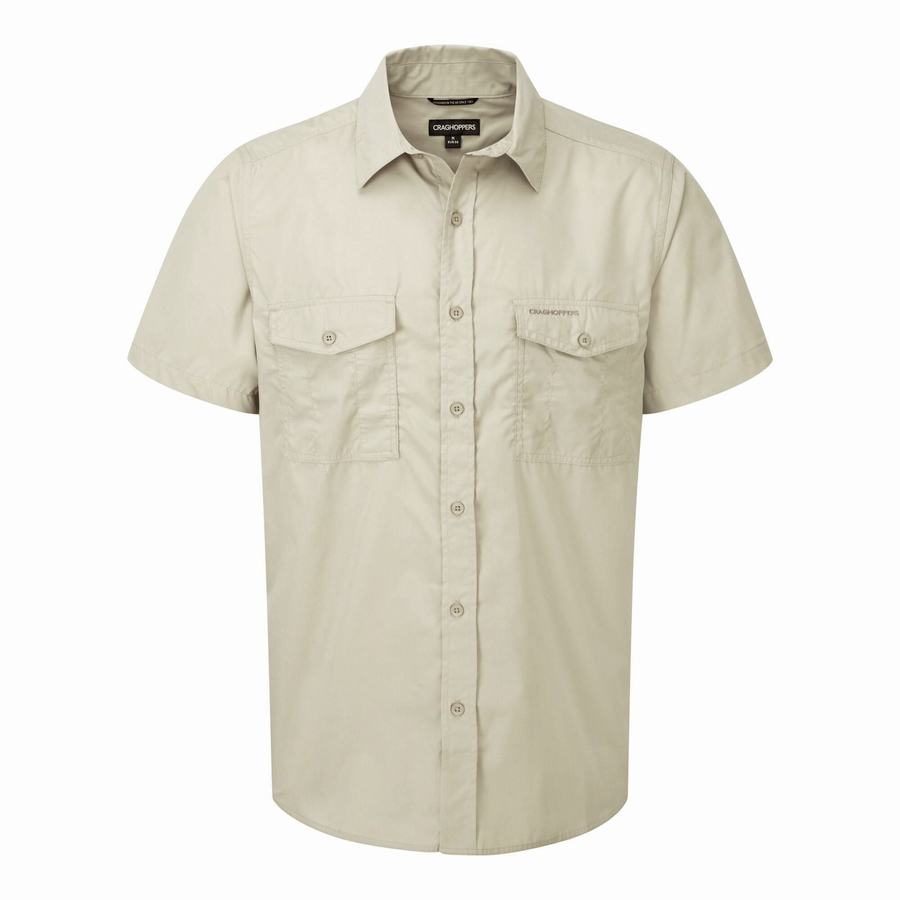 Beige Craghoppers Kiwi Short Sleeved Men\'s Shirts | CXJ3963NL