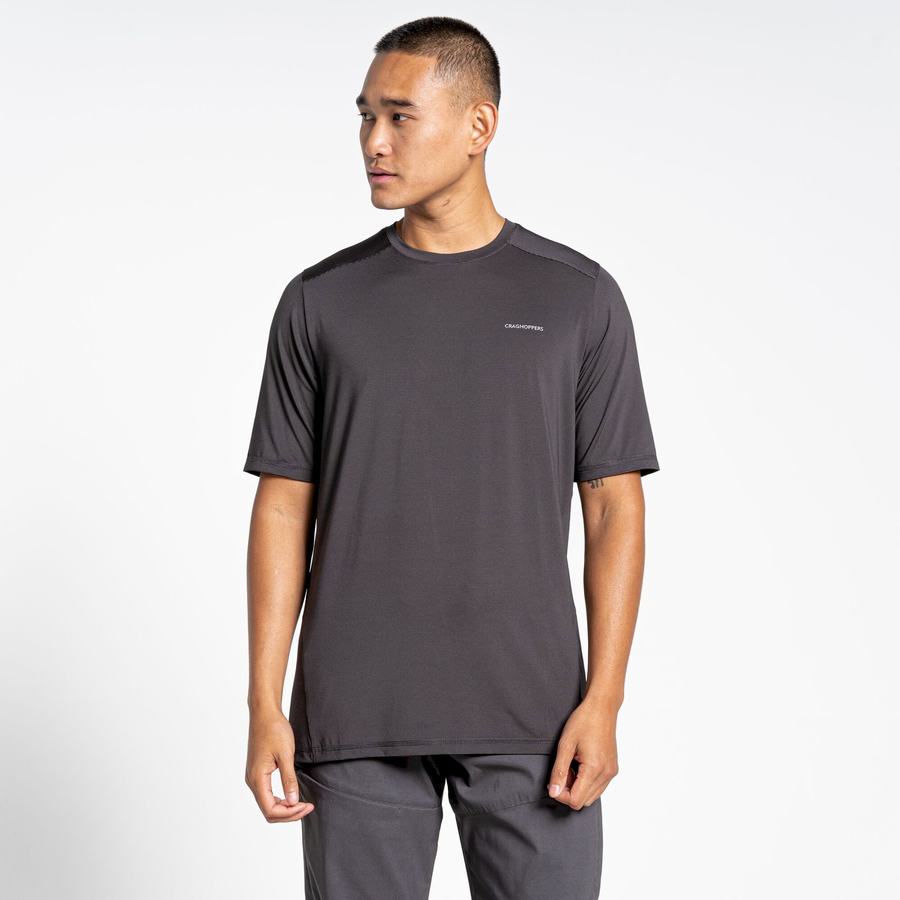 Black Craghoppers Belardo Short Sleeved Men's T-Shirts | DEC3036WT