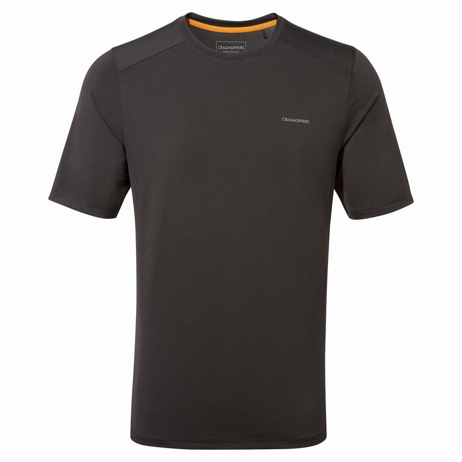 Black Craghoppers Belardo Short Sleeved Men's T-Shirts | DEC3036WT