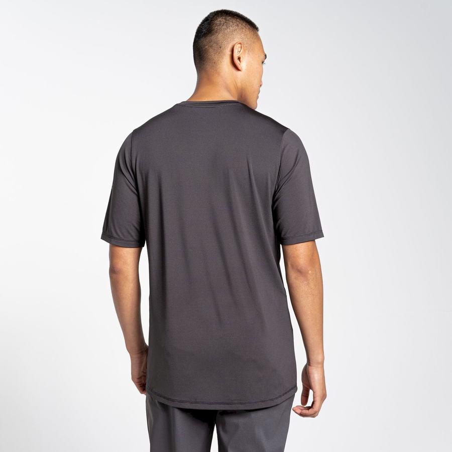 Black Craghoppers Belardo Short Sleeved Men's T-Shirts | DEC3036WT