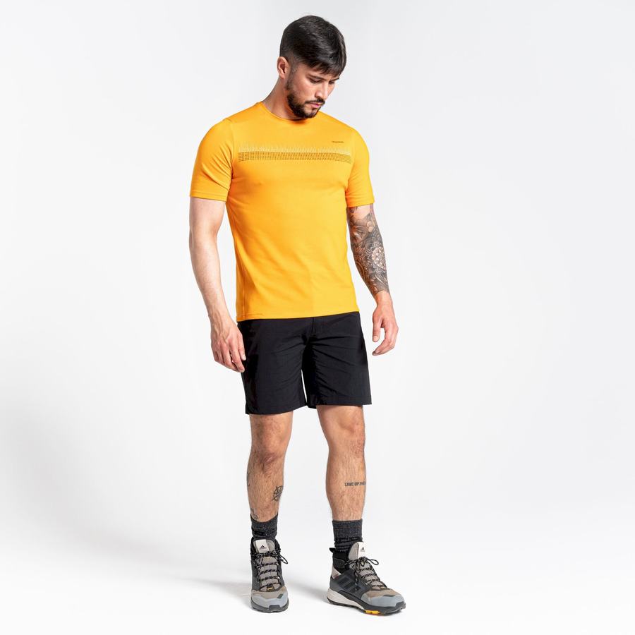 Black Craghoppers Dynamic Pro Men's Shorts | RNU301DW