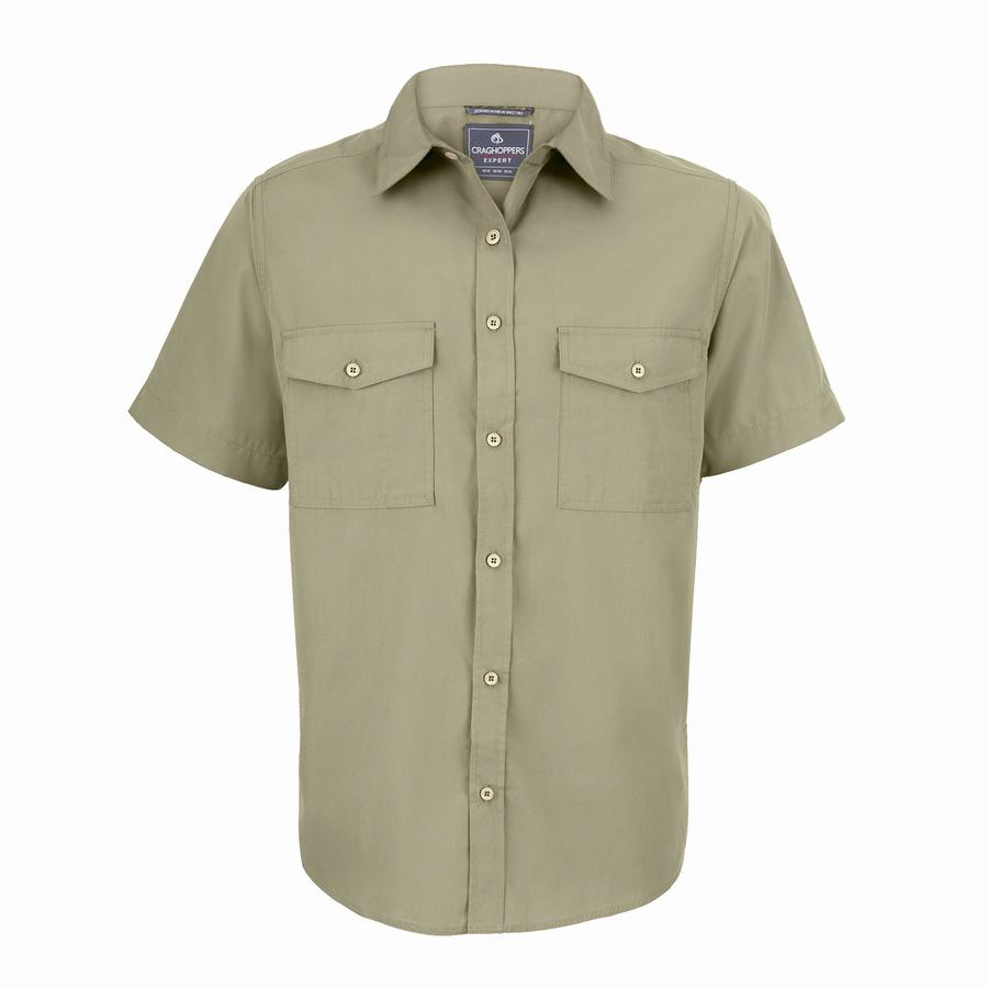 Black Craghoppers Expert Kiwi Short Sleeved Men's Shirts | DNN4258CX