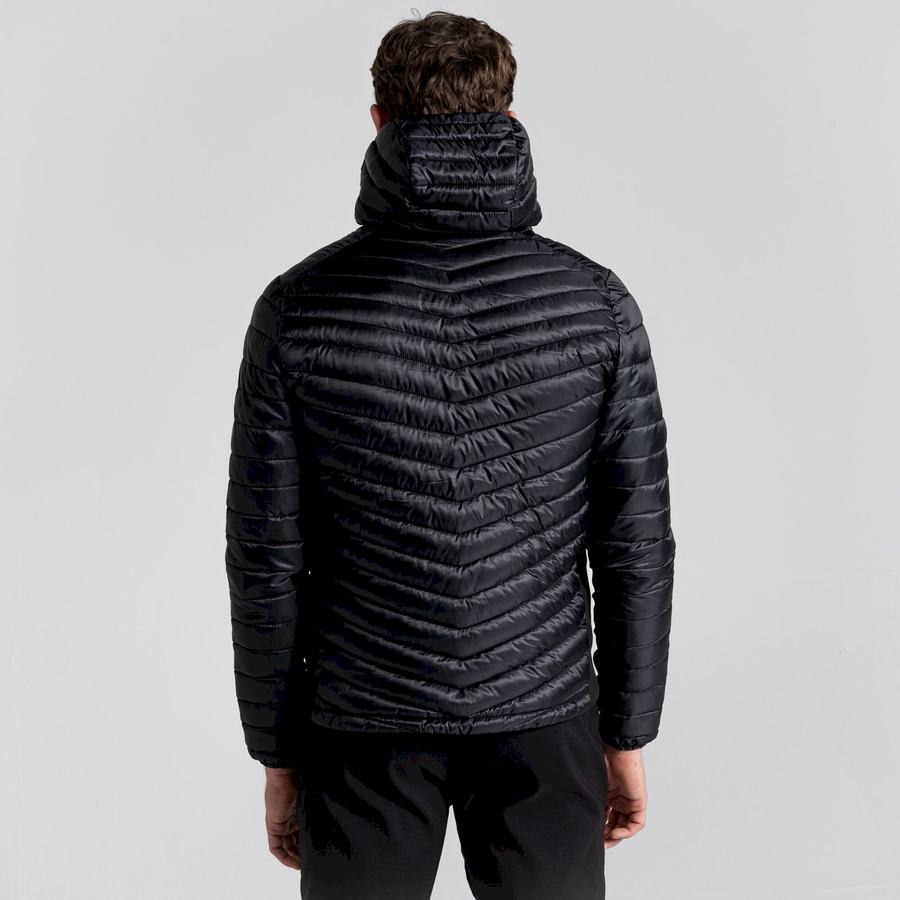 Black Craghoppers ExpoLite Insulated Hooded Men's Jackets | ADQ3183SV