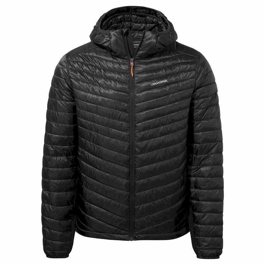 Black Craghoppers ExpoLite Insulated Hooded Men\'s Jackets | ADQ3183SV