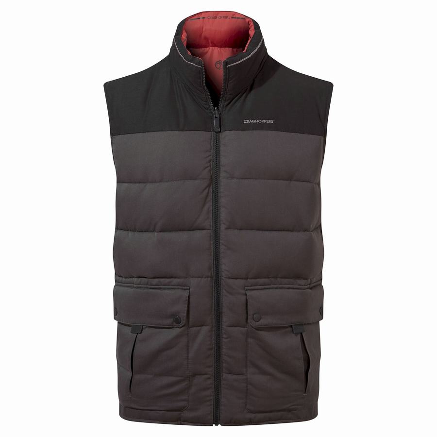 Black Craghoppers Trillick Downlike Men's Gilets | QPJ5132AE