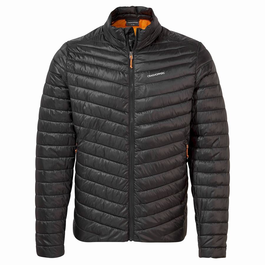 Black Orange Craghoppers Insulated ExpoLite Men's Jackets | OLL3672LZ