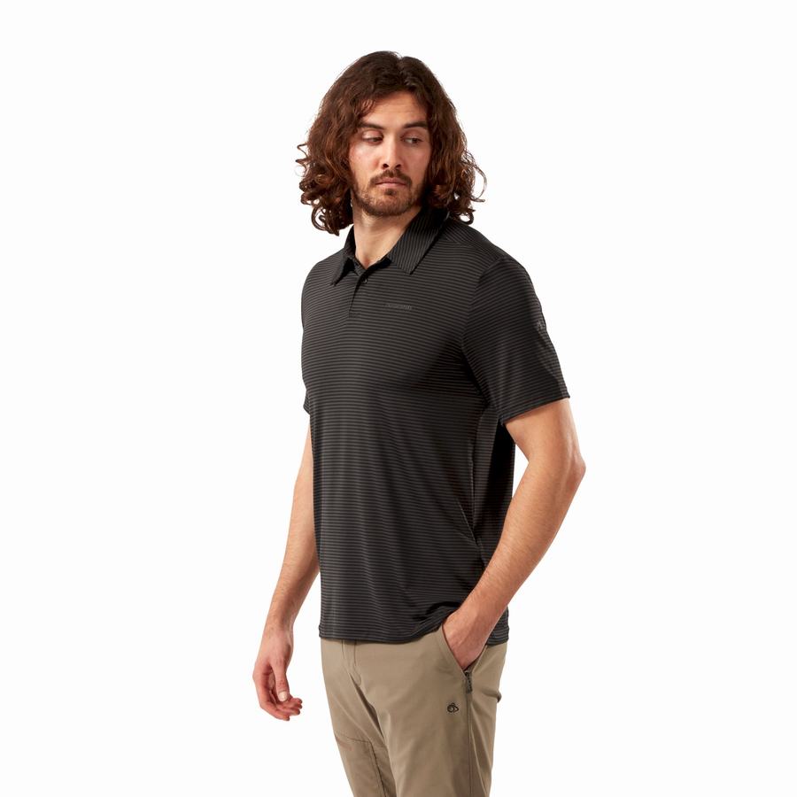 Black Stripes Craghoppers NosiLife Pro Short Sleeved Polo Men's T-Shirts | XSG9160SB