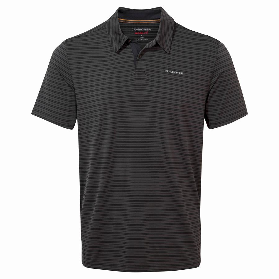 Black Stripes Craghoppers NosiLife Pro Short Sleeved Polo Men's T-Shirts | XSG9160SB