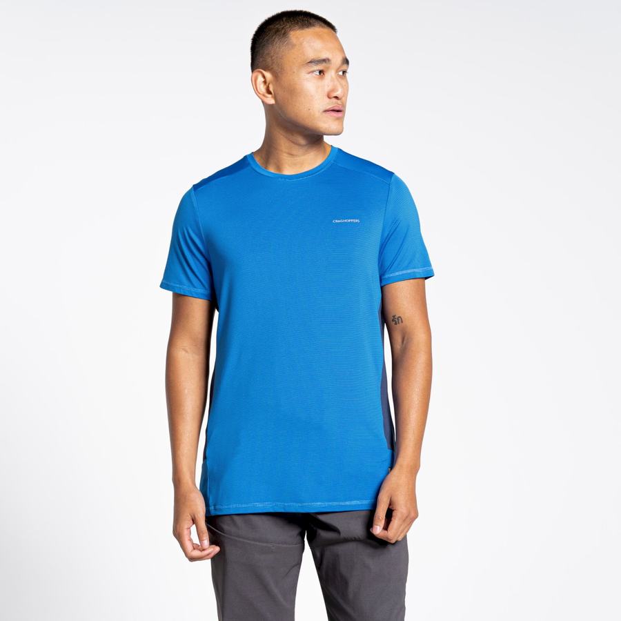 Blue Craghoppers Atmos Short Sleeved Men's T-Shirts | URH8855HO